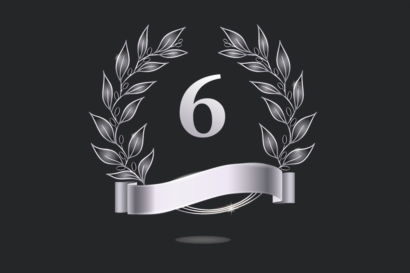 پلن 6 ماهه حرفه ای